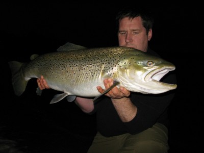 Justin Harrington's 22.07 Chew Brownie